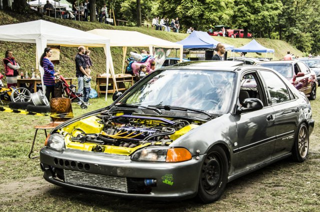 Falunap 2015